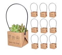ALLWSLucky 100 Pcs Mini Cajas De Suculentas, 5,1 cm Maceta de Papel para Plantas suculentas, Bolsas para Envolver Suculenta, Envoltorios de suculenta con Asas de plástico