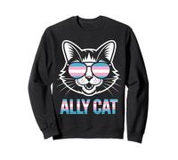 Ally Cat Transgénero Orgullo Felino Apoyo LGBTQ Humorístico Sudadera