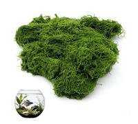 ALLY-MAGIC Musgo artificial de 50 g, decoración para acuarios, terrarios, decoración de pared, modelismo, belén, manualidades, musgo de peluche suave en color verde oscuro natural E21-FZTXS-verde