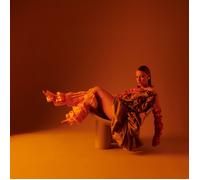 The Making Of Silk [Vinilo]