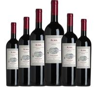 Alma de Contador Vino Tinto con crianza - Elegancia, cuerpo y equilibrio en una cuidada combinación de Tempranillo y Garnacha, ideal para maridar con carnes | 6 botellas