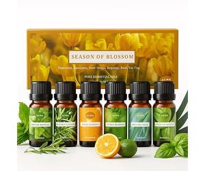 Alma Essence of Spring - Set de aceites esenciales - 6 frascos de 10 ml - Para difusor y aroma de hogar - notas florales, herbales y frescas de primavera - 60 ml