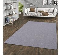 Alma gris jaspeado alfombra - Fácil de limpiar, resistente, alfombra de bucle moderna para salón, pasillo y dormitorio, duradera, resistente a la suciedad, apta para calefacción por suelo radiante