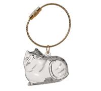 Almacenamiento de pelo de gato, llavero recolector de pelo de gato, contenedor de almacenamiento pequeño de 25 g, suministros para mascotas para mantener el entierro, viajes, coche, hogar, al aire lib