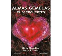 Almas Gemelas. El Reencuentro