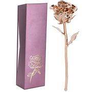 Almeigrity Long Stem Rose Gifts Dipped 24K Real Artificial Flower with Leaf Craft Collection (Oro Rosa)
