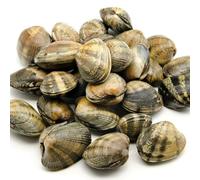Almeja Japónica - Pescadería Premium - 1 kg -Pescado y Marisco Fresco de Lonja (1 kg, Almeja Japónica)