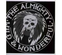 ALMIGHTY - ALMIGHTY - WILD AND WONDERFUL - 12" VINYL