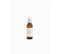 Almizcle Bubble Gum 10ML sin alcohol Aceite aromático concentrado dulce y dulce