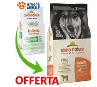 Almo Nature Perro Holistic Grandes 12KG - Cordero Y Arroz - Croquetas para Perro