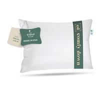 Almohada de Viaje de plumón de Ganso - Relleno de 800 plumón de Ganso Europeo, Egipcio de 300 Hilos, Funda 100% algodón para avión, Coche y hogar - Fabricado en Estados Unidos (13 x 18 Pulgadas)