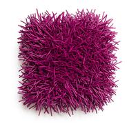 Almohada NEO de puercoespín