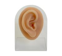 Almohadilla De Entrenamiento Facial Realista De Perforación De Silicona Avanzada Para Técnicas De Aprendizaje Y Modelo De Anatomía Estética Reutilizable