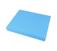 Almohadilla de equilibrio de espuma | 50x40 cm TPE antideslizante estera de entrenamiento | Almohadillas de equilibrio de espuma para ejercicios | para Mujeres Hombres Hogar Interior Piso Yoga Pilates