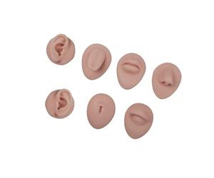 Almohadilla De Práctica Cejas Texturizada Piel Silicona Reutilizable Profesional 7 Piezas En Variaciones Tonos Naturales Kit Entrenamiento Bordado Silicona