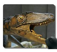 Almohadilla para mouse con borde de bloqueo, Happy Dinosaur Prehistoric Times, juego de rectángulo personalizado, mouse pads