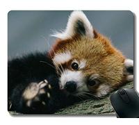 Almohadilla para ratón Yanteng con borde cosido, configuraciones Lindo, panda gigante, pequeño panda, Alfombrilla para ratón, Base de goma antideslizante, Alfombrilla para computadora portátil