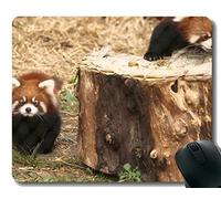 Almohadilla para ratón Yanteng con Borde Cosido, Zoo Little Panda Chicago en Peligro de extinción, Alfombrilla para ratón, Base antirresbaladiza de Goma para computadora portátil