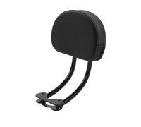 almohadilla respaldo pasajero motocicleta Almohadilla de asiento y respaldo para pasajero para Sportster S 1250 RH1250S 2021-2024, accesorios de moto