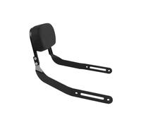almohadilla respaldo pasajero motocicleta Respaldo trasero desmontable para motocicleta para El&iminator SE 500 450 E500 E450 2023-2025 con almohadilla acolchada