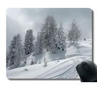 Almohadillas de Juego de Yanteng, Estera del ratón de la luz del Sol del árbol de la Cerca del Invierno de la Nieve