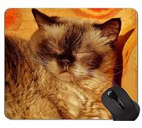 Almohadillas para mouse, British Shorthair Cat Grey Pet Cute Mouse Pad antideslizante, British Shorthair Mouse Pad con borde cosido
