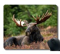 Almohadillas para mouse para computadoras portátiles, luz de la ducha - Bordes cosidos