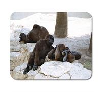 Almohadillas para Mouse Salvaje Gorilas Negras Que descansan Colocación de Rocas de Palmeras Tres Almohadillas para Mouse para notebooks