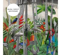 Aloa Input - Anysome