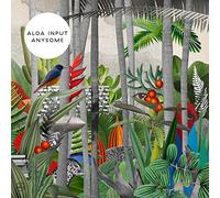 Aloa Input - Anysome [Vinilo]