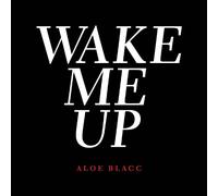 Aloe Blacc - Wake Me Up