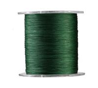 Alomejor 1 sedal de pesca de 300 m, 4 hebras, trenzado superfuerte, cuerda de pescado multifilamento, 9 tamaños en verde (2 verdes)
