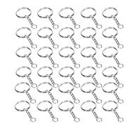 Alomejor 200 Llaveros de Aleación de Zinc con Cadena, Anillas Abiertas Duraderas para Accesorios de Bricolaje, Ideales para Equipaje y Teléfonos Móviles, Tamaño de 25 Mm/1 Pulgada