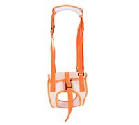 Alomejor Arnés de Elevación para Perros Discapacitados, Cómodo Cinturón de Soporte para Piernas Traseras de Malla con para Mascotas Viejas y Débiles (XL)