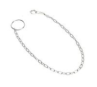 Alomejor Cadena de Pie de Entrenamiento de Acero Inoxidable para Loros Grandes, para Monje Sol Dorado, Paloma Alexander, Loro Gris, Sol Pequeño, Anillo de Tobillera Duradero y Resistente Al óxido para