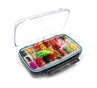 Alomejor Caja de Pesca de Doble Cara, Diseño Transparente, Contenedor de Almacenamiento de Ganchos de Plástico Ligero para Accesorios de Pesca con Señuelo (caja de)