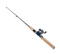 Alomejor Caña de Pescar en Hielo, Material Duradero, Juego Completo de Pesca con 27,6 Pulgadas de Longitud para Principiantes y Familias