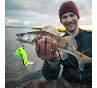 Alomejor Cebo para Peces Insectos, Juego de Señuelos para Saltamontes y Grillo de 5 Piezas con Anzuelo Triple Afilado, Resistente a la Corrosión, para Amantes de la Pesca