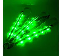 Alomejor Collar de Peto de Caballo LED, Equipo de Seguridad Ajustable de Alta Visibilidad con 3 Modos de Luz, para Montar a Caballo por la Noche o en Senderos (Green)