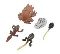 Alomejor Conjunto de Juguetes Modelo Animal, Ciclo de Crecimiento de PVC Figura Educativa Juguete para Decoración del Hogar Actividades de Aprendizaje Preescolar