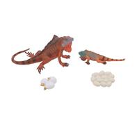 Alomejor Conjunto de Modelos de Ciclo de Vida de Iguana, Figuras de Animales Realistas de PVC para Educación Temprana y Decoración de Habitaciones, con Material Seguro para el Medio