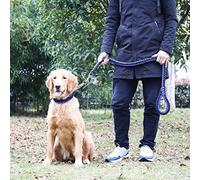 Alomejor Correa para Perros Correa de Tracción para Mascotas de Nailon Duradera y Resistente de 4,2 Pies para Entrenamiento de Paseo de Perros Medianos (M)