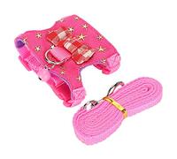 Alomejor Hurón Chinchilla Ardilla ArnéS Chaleco Conjunto de Correa Algodón Suave Correa para el Pecho Al Aire Libre Suministros para Mascotas Tela Vaquera S, M para Dueños de Mascotas Pequeñas (S)