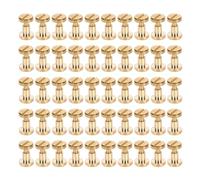 Alomejor Juego de 50 Remaches Decorativos, Tornillos de Latón para Proyectos de Artesanía de Cuero, Perfecto para Encuadernación de Cinturones y álbumes (latón 3)