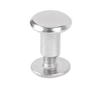 Alomejor Juego de Remaches de Acero Inoxidable, 100 Juegos de Fijación Eficiente para Decoración de Ropa y Artesanías de Cuero (Acero inoxidable)