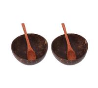 Alomejor Juegos de Cuencos de Coco Cuencos de Concha Natural Hechos a Mano con Cucharas de Madera para Comidas Al Aire Libre y Picnics en Material Sostenible 2 Piezas