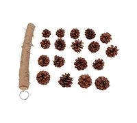Alomejor Juguete para Morder Pájaros, Cono de Pino Duradero, Colgante, Juguete para Moler Pico de Loros para Jaula de Pájaros, Troncos y Material de Cuerda de Cáñamo (Grande)