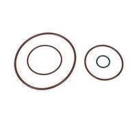 Alomejor Kit de Juntas Tóricas para Bomba de Vacío de Coche, Juego de Juntas Tóricas, Anillo de Sellado de Bomba de Vacío ABS OEM 06D145100H 06D145100E 06D145117 para GLI A3 TT 2.0T FSI Fácil