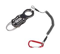 Alomejor Kit de Probador de de Monedas, Herramienta Avanzada de Verificación de Resonancia para Monedas de Oro Plateado, Probador de Portátil para Coleccionistas, Aleación de Aluminio de Acero