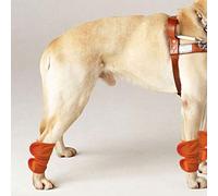 Alomejor Protector de Pierna para y Gato, Rodilleras Elásticas para Recuperación, Dedos Cálidos de Invierno, S/M/L, Perros para Soporte de Articulaciones para Mascotas, Negro, 2 uds. (L)